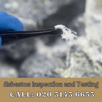 Comprehensive Asbestos Inspection and Testing Services in Stamford Hill